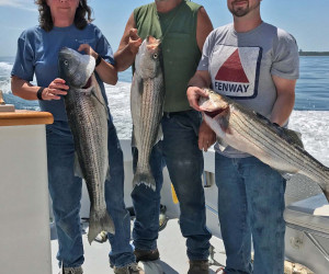 Striper fishing on Southbound Charters