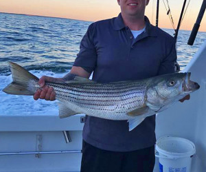 Striped Bass fishing aboard Southbound Charters in Waterford CT