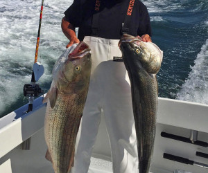 Big Stripers with Southbound Charters out of Waterford, CT